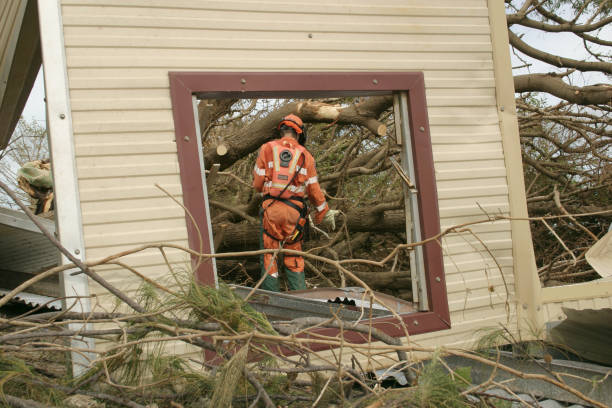 How Our Tree Care Process Works  in  Oklahoma City, OK